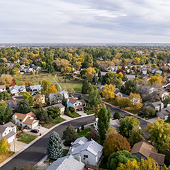 Bird's Eye Shot of Neighborhood, trees and tops of houses from photo taken above a neighborhood